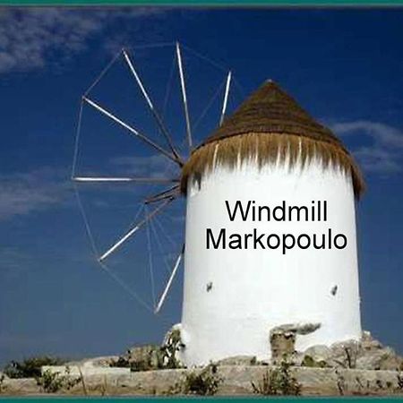 Athens 24-Hours Hostel #Athensairport #Latecheck-In #Privatetransportservice #Groups #Downtown Markópoulon Екстериор снимка